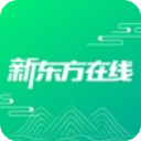 领先17分被澳大利亚逆转!张子宇+王思雨齐爆,宫鲁鸣引崩盘!