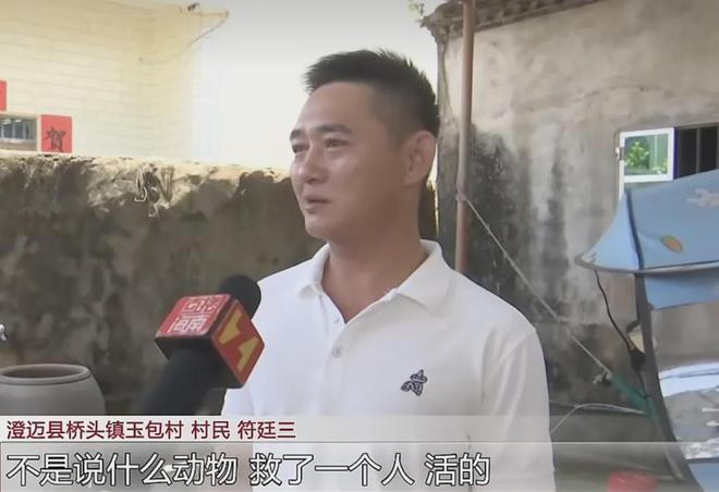 【东北超有爱 爱在辽中心】燃情夏夜 共赏足球盛宴!东北超沈阳对阵延边 辽中海之门广场亮点纷呈!