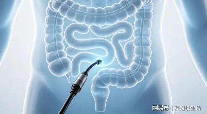 寿司在中国为什么不受欢迎?网友:你去看看寿司郎员工的一天呢?