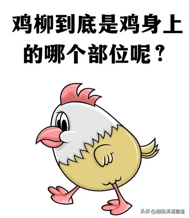 天台的人比佛得角全国还多!网友爆笑评论:诸葛亮来了都得扔200