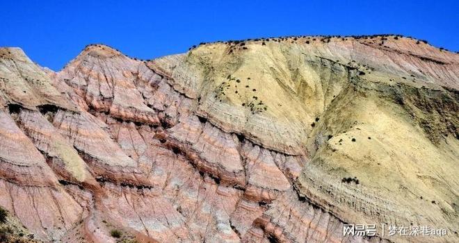 球迷点赞“联合水务·宿货优品 苏超大集”：接地气、有人气