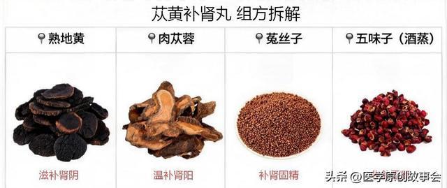 张本智和说以前国乒场下还3位高手,豪言要冲击世界第一