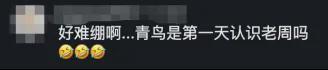 王哲林虽然拿了冠军！但胡金秋一个数据曝光，才知道谁是真核