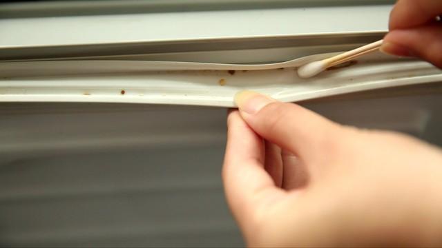 东北超6轮战罢,积分榜更新:大连队排第二占据有利位置