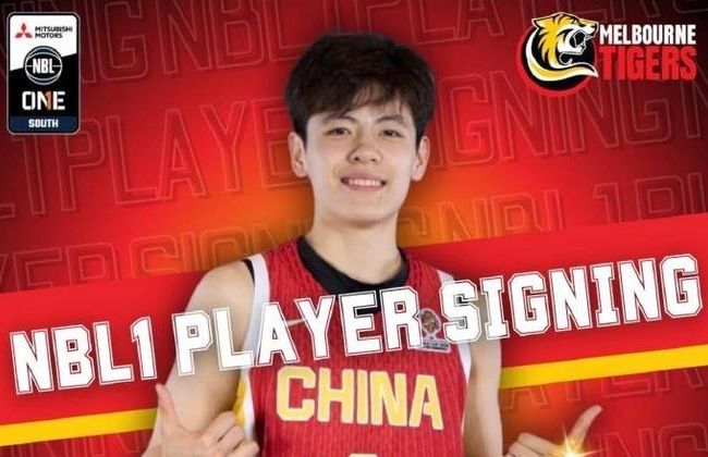 别再吹世界第一了!1302根柱子,正在悄悄掀翻中国基建的老套路