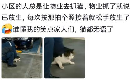 顶级大师!巴萨30岁巨星表演:护球转身30米长传 官方盛赞